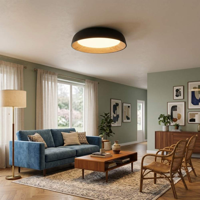 Alba Black Mount Ceiling Light