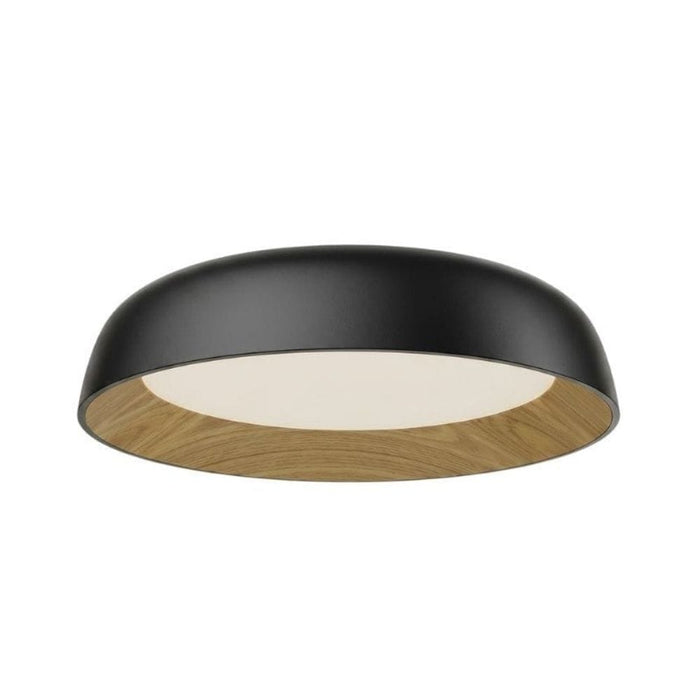 Alba Black Mount Ceiling Light