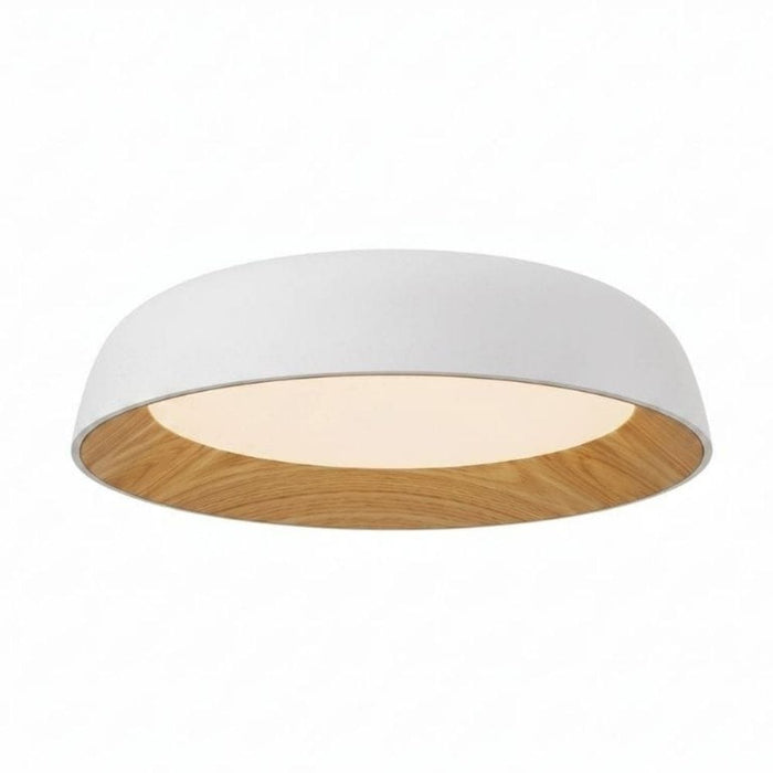 Alba White Mount Ceiling Light